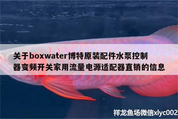 關(guān)于boxwater博特原裝配件水泵控制器變頻開關(guān)家用流量電源適配器直銷的信息 博特水族