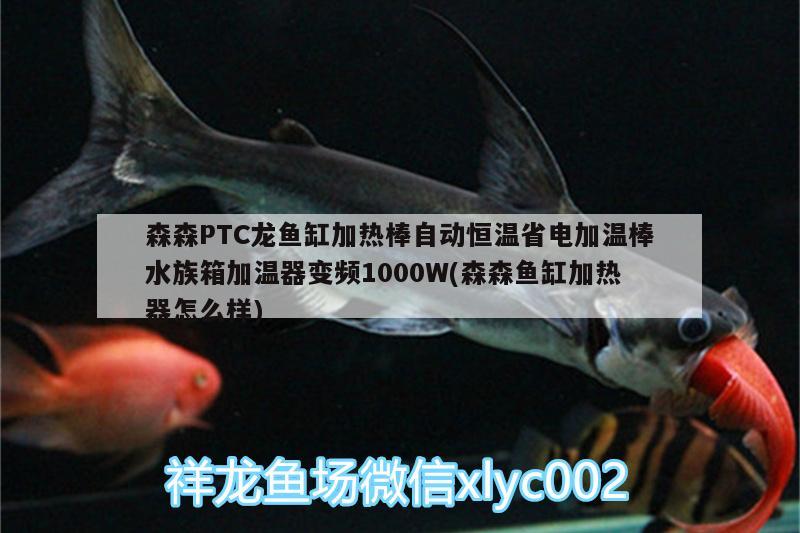 森森PTC龍魚(yú)缸加熱棒自動(dòng)恒溫省電加溫棒水族箱加溫器變頻1000W(森森魚(yú)缸加熱器怎么樣)