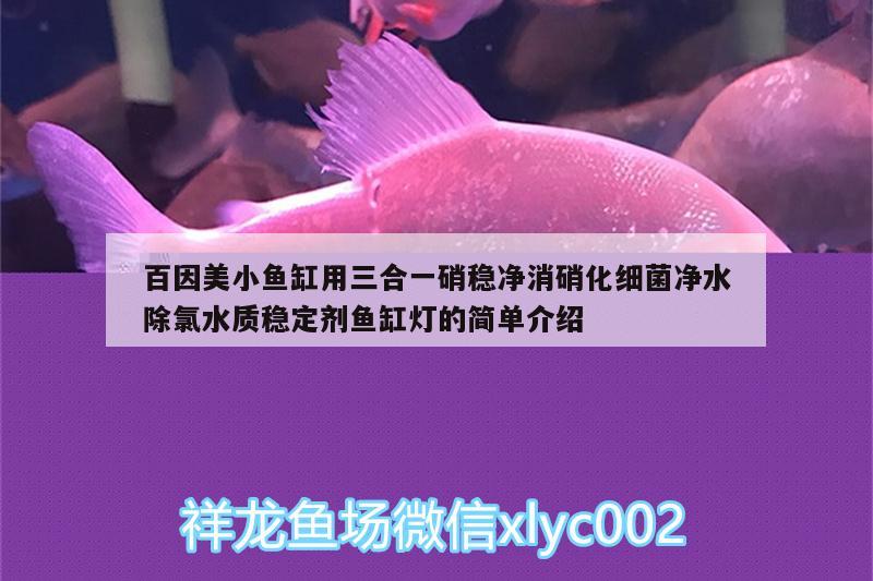 百因美小魚(yú)缸用三合一硝穩(wěn)凈消硝化細(xì)菌凈水除氯水質(zhì)穩(wěn)定劑魚(yú)缸燈的簡(jiǎn)單介紹