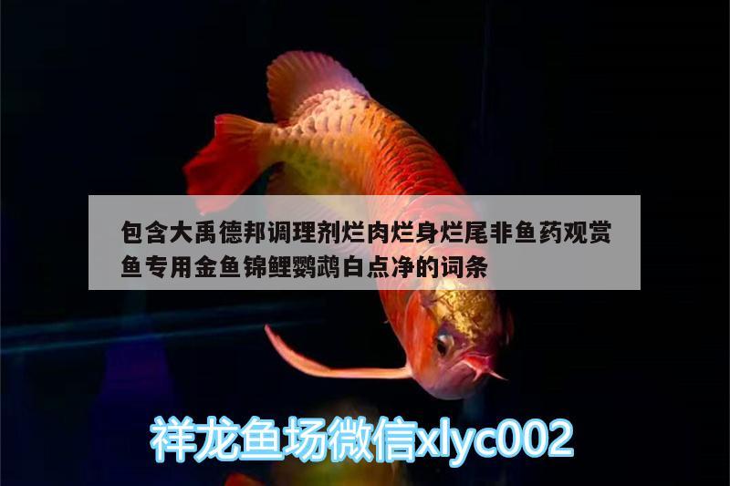 包含大禹德邦調(diào)理劑爛肉爛身爛尾非魚(yú)藥觀賞魚(yú)專(zhuān)用金魚(yú)錦鯉鸚鵡白點(diǎn)凈的詞條 鸚鵡魚(yú)