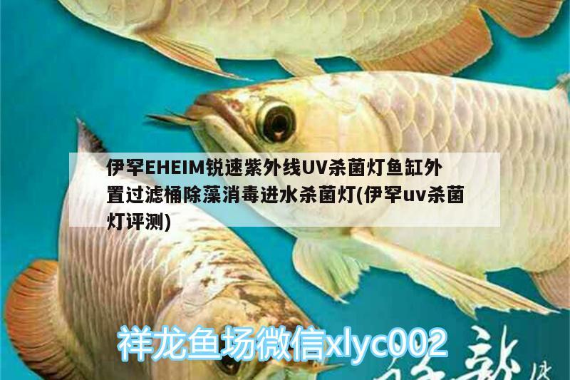 伊罕EHEIM銳速紫外線UV殺菌燈魚(yú)缸外置過(guò)濾桶除藻消毒進(jìn)水殺菌燈(伊罕uv殺菌燈評(píng)測(cè))