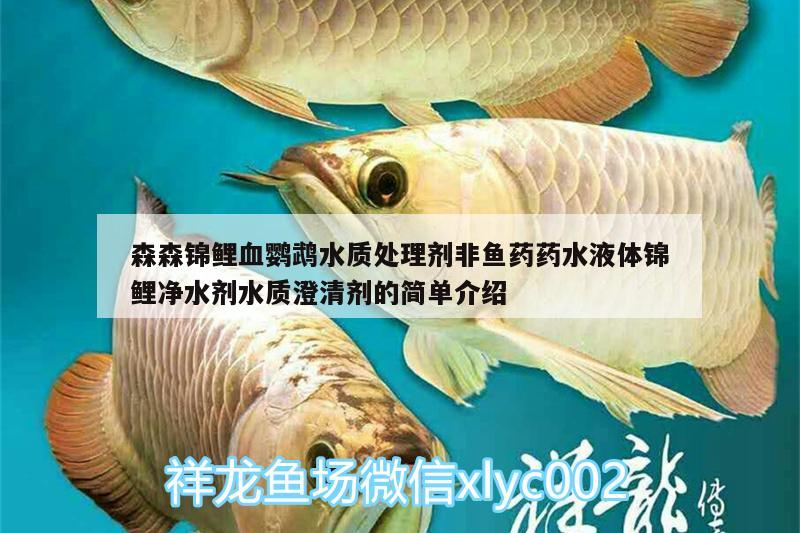 森森錦鯉血鸚鵡水質處理劑非魚藥藥水液體錦鯉凈水劑水質澄清劑的簡單介紹 鸚鵡魚