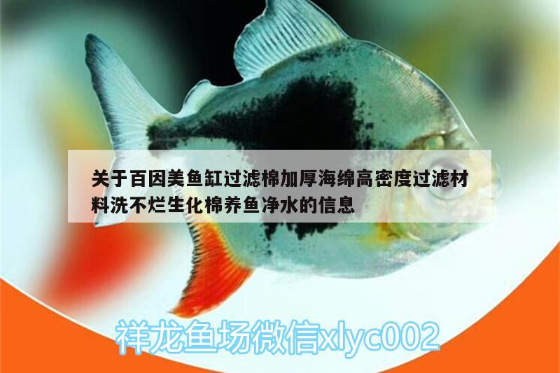 關(guān)于百因美魚缸過濾棉加厚海綿高密度過濾材料洗不爛生化棉養(yǎng)魚凈水的信息 廣州水族器材濾材批發(fā)市場(chǎng)