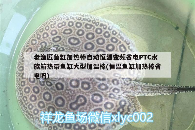 老漁匠魚缸加熱棒自動(dòng)恒溫變頻省電PTC水族箱熱帶魚缸大型加溫棒(恒溫魚缸加熱棒省電嗎) 魚缸/水族箱