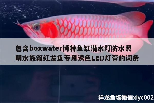 包含boxwater博特魚缸潛水燈防水照明水族箱紅龍魚專用誘色LED燈管的詞條