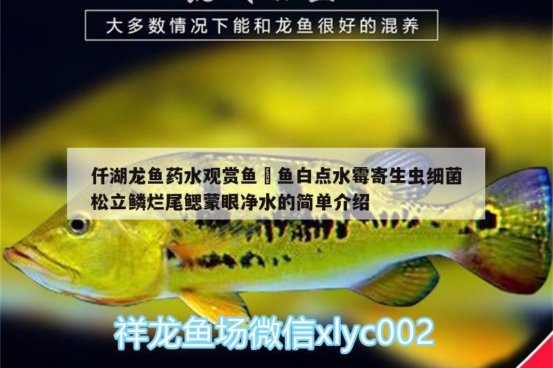 仟湖龍魚藥水觀賞魚魟魚白點(diǎn)水霉寄生蟲細(xì)菌松立鱗爛尾鰓蒙眼凈水的簡(jiǎn)單介紹