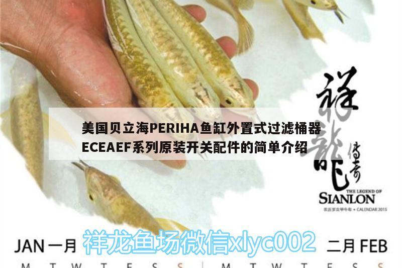 美國貝立海PERIHA魚缸外置式過濾桶器ECEAEF系列原裝開關(guān)配件的簡單介紹 垂釣樂園