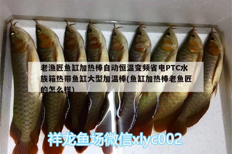 老漁匠魚缸加熱棒自動(dòng)恒溫變頻省電PTC水族箱熱帶魚缸大型加溫棒(魚缸加熱棒老魚匠的怎么樣) 老魚匠