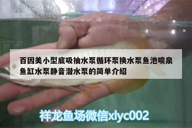 百因美小型底吸抽水泵循環(huán)泵換水泵魚池噴泉魚缸水泵靜音潛水泵的簡單介紹 魚缸水泵