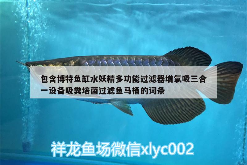 包含博特魚缸水妖精多功能過濾器增氧吸三合一設(shè)備吸糞培菌過濾魚馬桶的詞條 博特水族