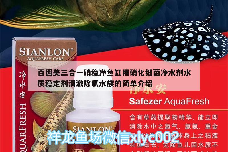 百因美三合一硝穩(wěn)凈魚缸用硝化細菌凈水劑水質(zhì)穩(wěn)定劑清澈除氯水族的簡單介紹 硝化細菌