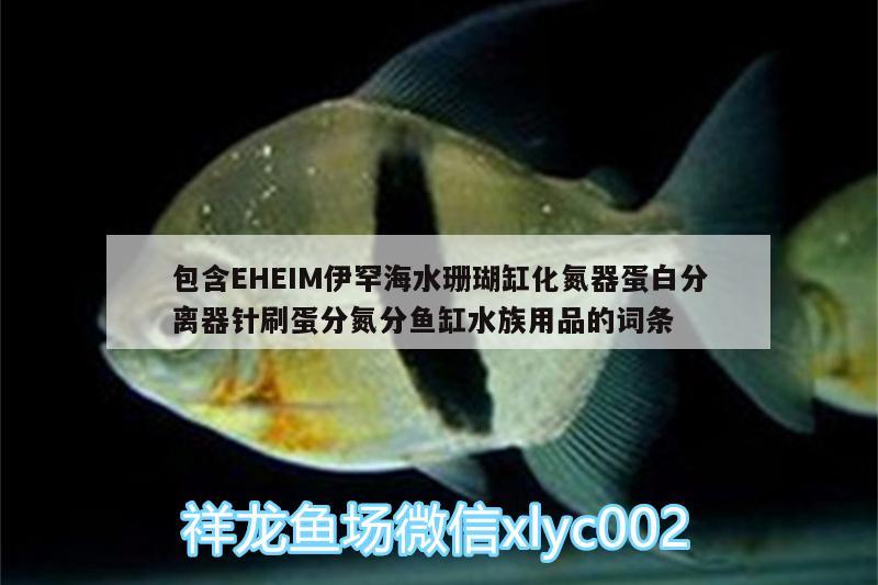 包含EHEIM伊罕海水珊瑚缸化氮器蛋白分離器針?biāo)⒌胺值拄~(yú)缸水族用品的詞條 伊罕水族