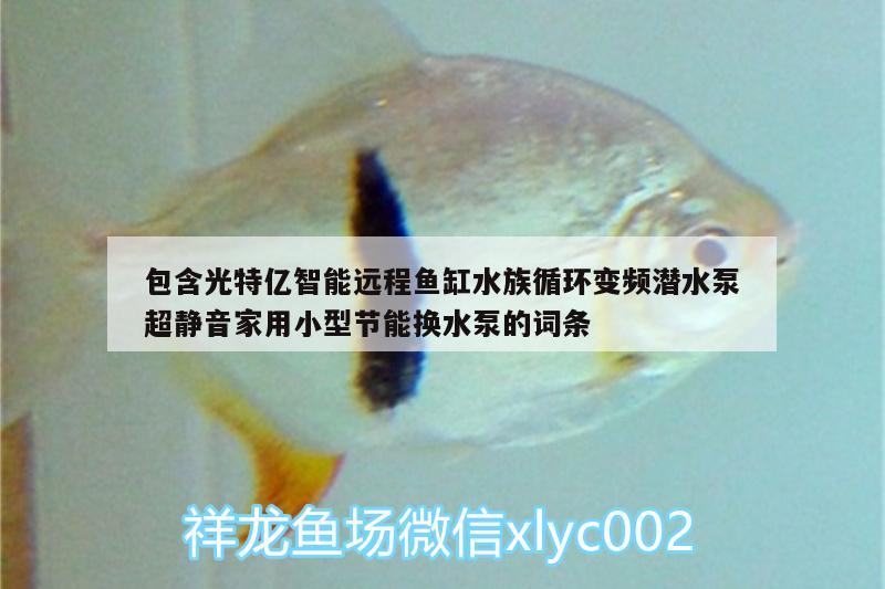 包含光特億智能遠程魚缸水族循環(huán)變頻潛水泵超靜音家用小型節(jié)能換水泵的詞條