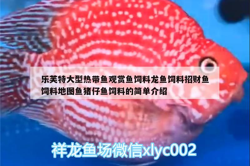 樂芙特大型熱帶魚觀賞魚飼料龍魚飼料招財魚飼料地圖魚豬仔魚飼料的簡單介紹 廣州水族器材濾材批發(fā)市場