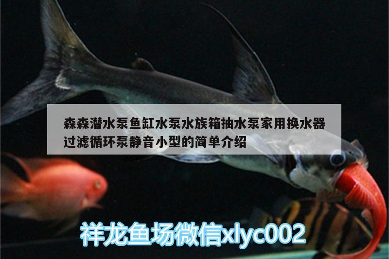 森森潛水泵魚缸水泵水族箱抽水泵家用換水器過濾循環(huán)泵靜音小型的簡單介紹 魚缸水泵