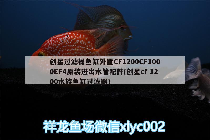 創(chuàng)星過(guò)濾桶魚(yú)缸外置CF1200CF1000EF4原裝進(jìn)出水管配件(創(chuàng)星cf1200水族魚(yú)缸過(guò)濾器)