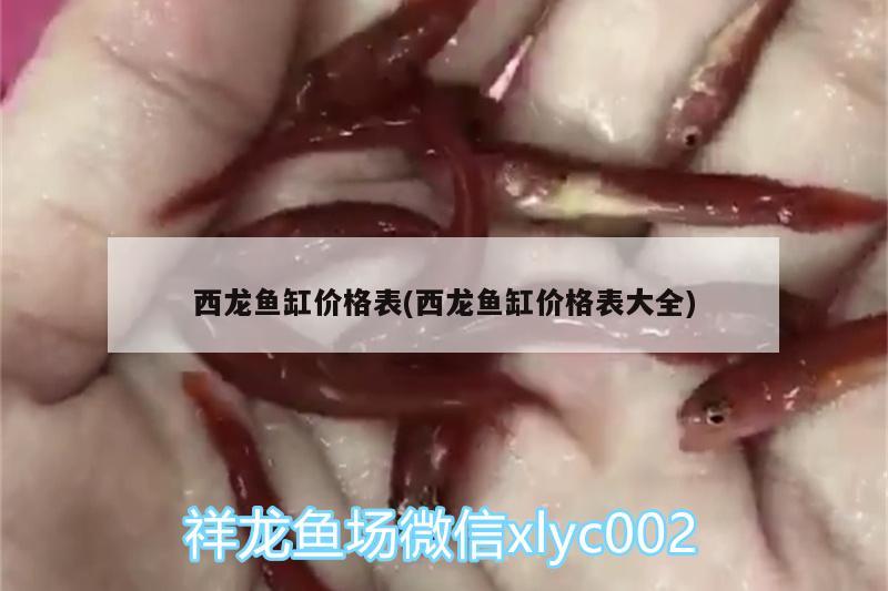 西龍魚缸價格表(西龍魚缸價格表大全) 招財戰(zhàn)船魚