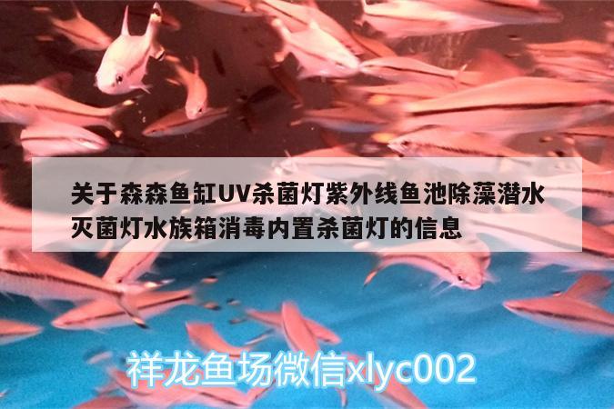 關(guān)于森森魚缸UV殺菌燈紫外線魚池除藻潛水滅菌燈水族箱消毒內(nèi)置殺菌燈的信息 魚缸/水族箱