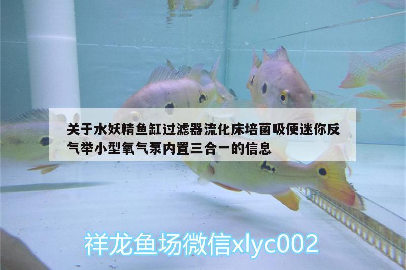 關(guān)于水妖精魚缸過濾器流化床培菌吸便迷你反氣舉小型氧氣泵內(nèi)置三合一的信息