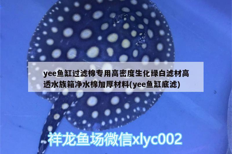 yee魚缸過濾棉專用高密度生化綠白濾材高透水族箱凈水棉加厚材料(yee魚缸底濾)