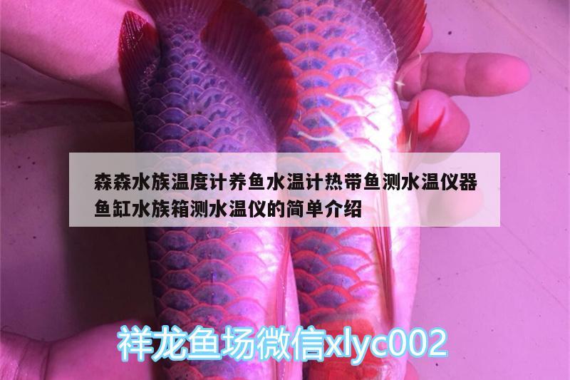 森森水族溫度計養(yǎng)魚水溫計熱帶魚測水溫儀器魚缸水族箱測水溫儀的簡單介紹