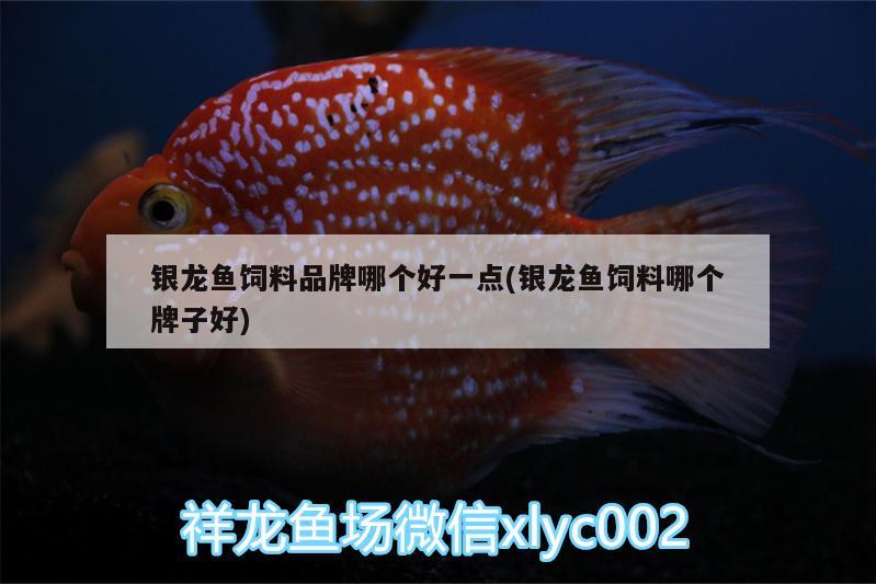 銀龍魚飼料品牌哪個好一點(銀龍魚飼料哪個牌子好) 銀龍魚