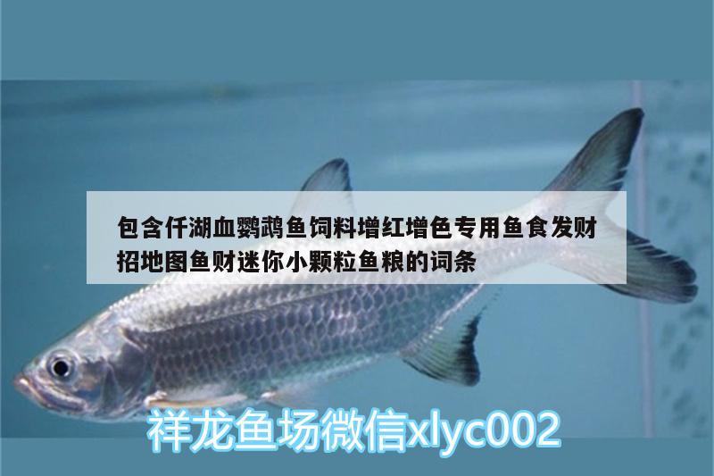 包含仟湖血鸚鵡魚飼料增紅增色專用魚食發(fā)財(cái)招地圖魚財(cái)迷你小顆粒魚糧的詞條 鸚鵡魚