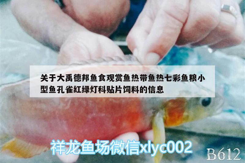 關(guān)于大禹德邦魚食觀賞魚熱帶魚熱七彩魚糧小型魚孔雀紅綠燈科貼片飼料的信息