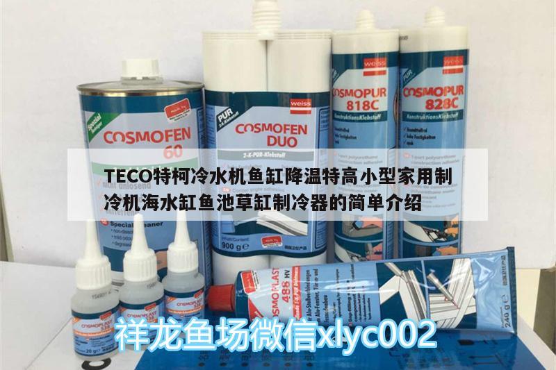 TECO特柯冷水機魚缸降溫特高小型家用制冷機海水缸魚池草缸制冷器的簡單介紹 廣州水族器材濾材批發(fā)市場