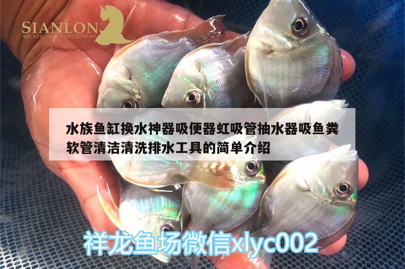 水族魚缸換水神器吸便器虹吸管抽水器吸魚糞軟管清潔清洗排水工具的簡單介紹 廣州水族器材濾材批發(fā)市場