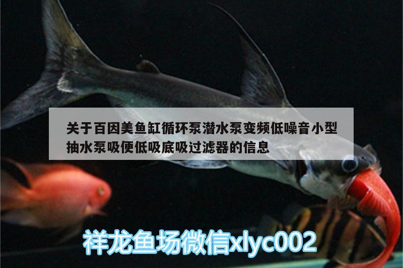 關(guān)于百因美魚缸循環(huán)泵潛水泵變頻低噪音小型抽水泵吸便低吸底吸過濾器的信息