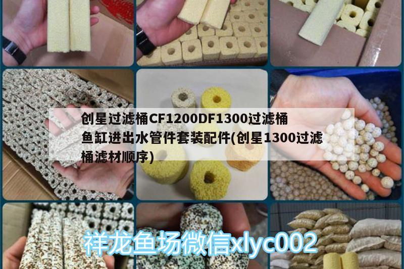 創(chuàng)星過濾桶CF1200DF1300過濾桶魚缸進(jìn)出水管件套裝配件(創(chuàng)星1300過濾桶濾材順序) 廣州水族器材濾材批發(fā)市場(chǎng)