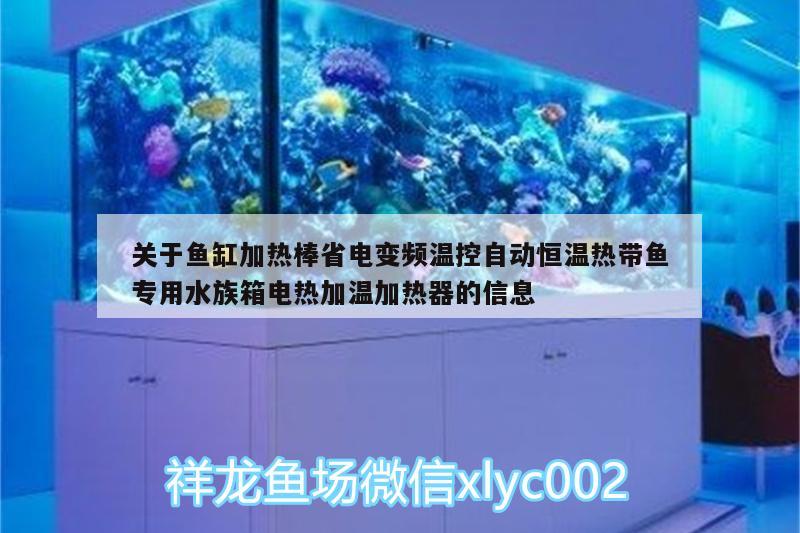 關(guān)于魚缸加熱棒省電變頻溫控自動恒溫熱帶魚專用水族箱電熱加溫加熱器的信息