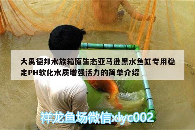 大禹德邦水族箱原生態(tài)亞馬遜黑水魚缸專用穩(wěn)定PH軟化水質(zhì)增強活力的簡單介紹 魚缸/水族箱