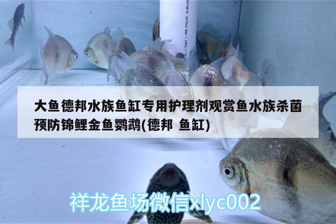 大魚德邦水族魚缸專用護(hù)理劑觀賞魚水族殺菌預(yù)防錦鯉金魚鸚鵡(德邦魚缸)