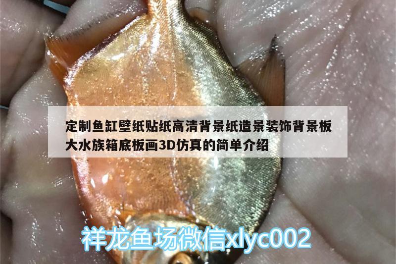 定制魚缸壁紙貼紙高清背景紙?jiān)炀把b飾背景板大水族箱底板畫3D仿真的簡(jiǎn)單介紹