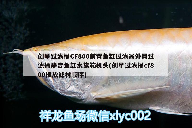 創(chuàng)星過濾桶CF800前置魚缸過濾器外置過濾桶靜音魚缸水族箱機(jī)頭(創(chuàng)星過濾桶cf800擺放濾材順序) 魚缸/水族箱