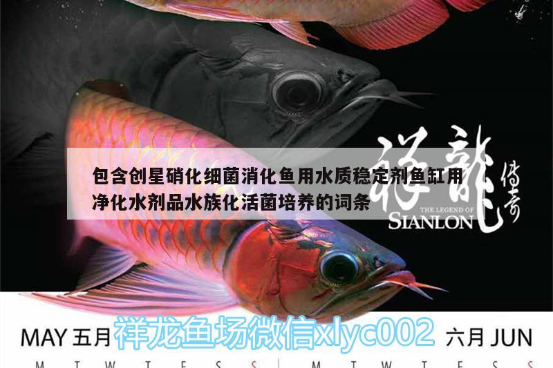 包含創(chuàng)星硝化細(xì)菌消化魚(yú)用水質(zhì)穩(wěn)定劑魚(yú)缸用凈化水劑品水族化活菌培養(yǎng)的詞條 硝化細(xì)菌