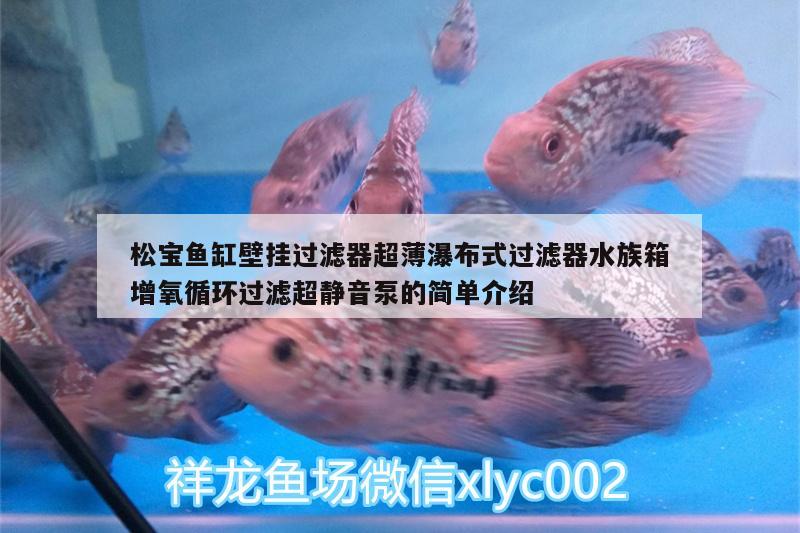 松寶魚缸壁掛過濾器超薄瀑布式過濾器水族箱增氧循環(huán)過濾超靜音泵的簡單介紹 魚缸/水族箱