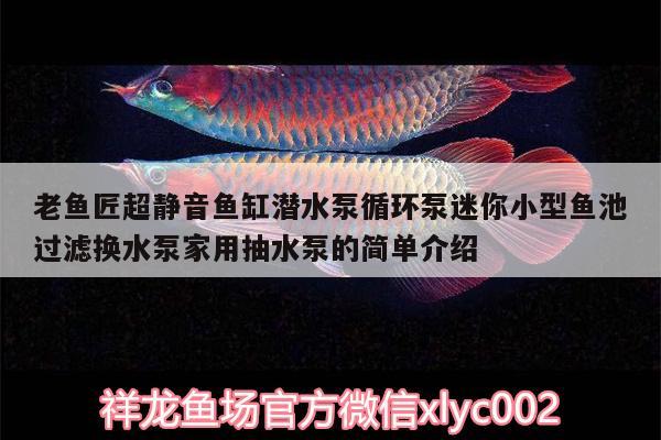 老魚匠超靜音魚缸潛水泵循環(huán)泵迷你小型魚池過(guò)濾換水泵家用抽水泵的簡(jiǎn)單介紹