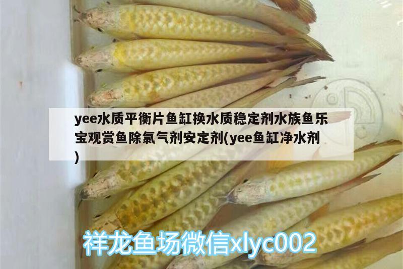 yee水質(zhì)平衡片魚缸換水質(zhì)穩(wěn)定劑水族魚樂寶觀賞魚除氯氣劑安定劑(yee魚缸凈水劑)