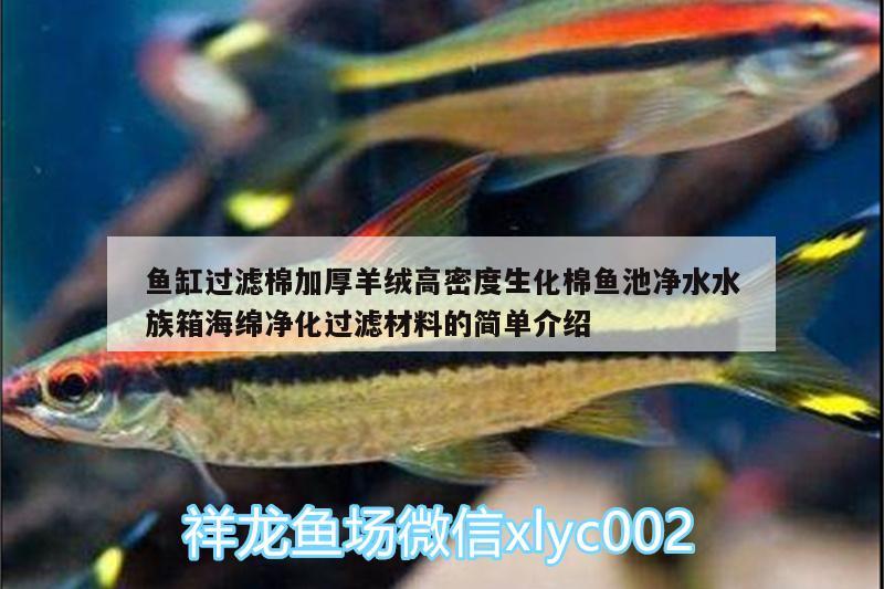 魚缸過濾棉加厚羊絨高密度生化棉魚池凈水水族箱海綿凈化過濾材料的簡單介紹 魚缸/水族箱