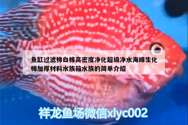 魚缸過濾棉白棉高密度凈化超級(jí)凈水海綿生化棉加厚材料水族箱水族的簡(jiǎn)單介紹