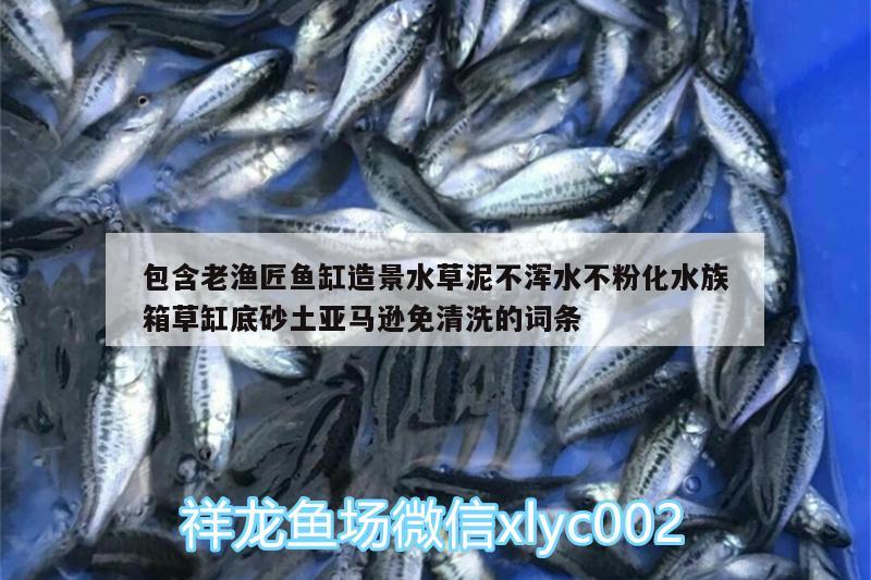 包含老漁匠魚缸造景水草泥不渾水不粉化水族箱草缸底砂土亞馬遜免清洗的詞條