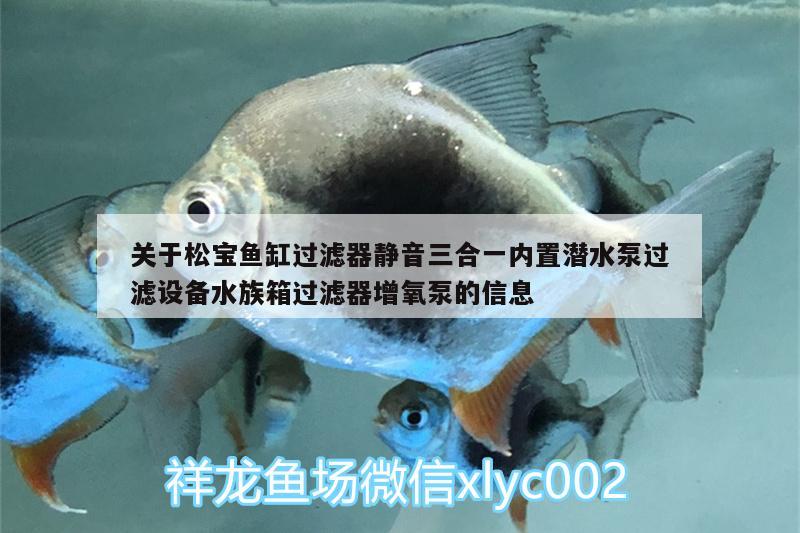 關于松寶魚缸過濾器靜音三合一內置潛水泵過濾設備水族箱過濾器增氧泵的信息