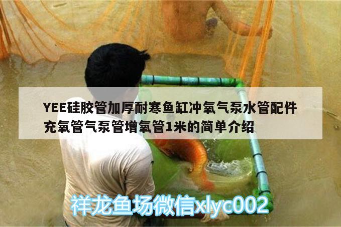 YEE硅膠管加厚耐寒魚缸沖氧氣泵水管配件充氧管氣泵管增氧管1米的簡單介紹 yee