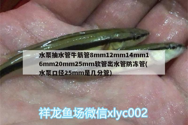 水泵抽水管牛筋管8mm12mm14mm16mm20mm25mm軟管出水管防凍管(水泵口徑25mm是幾分管)