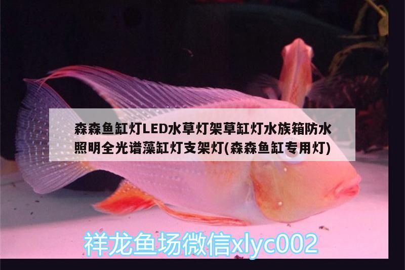 森森魚缸燈LED水草燈架草缸燈水族箱防水照明全光譜藻缸燈支架燈(森森魚缸專用燈) 魚缸/水族箱 第1張