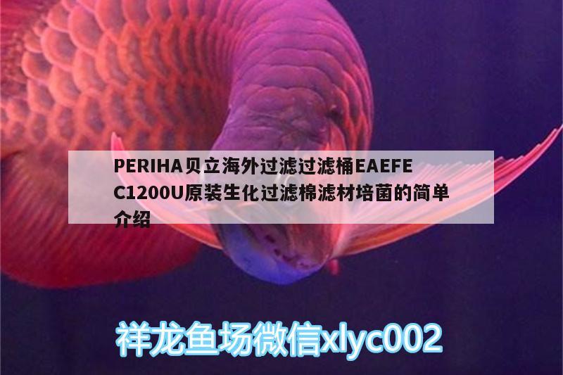 PERIHA貝立海外過(guò)濾過(guò)濾桶EAEFEC1200U原裝生化過(guò)濾棉濾材培菌的簡(jiǎn)單介紹