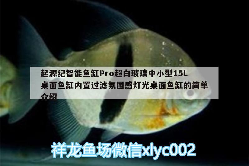 起源紀(jì)智能魚缸Pro超白玻璃中小型15L桌面魚缸內(nèi)置過濾氛圍感燈光桌面魚缸的簡單介紹 廣州水族器材濾材批發(fā)市場